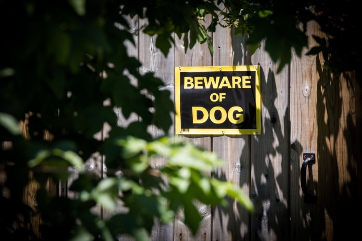 Postal Workers Attacked by Dogs