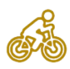 Bicycle Accident